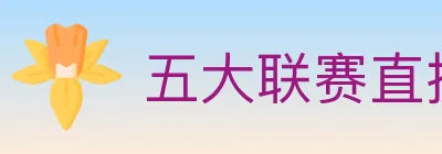 五大联赛直播 logo